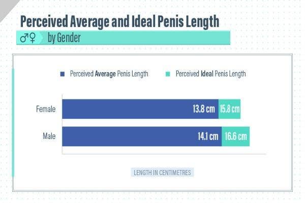 This Is The Penis Size Of Men In Each Country  Yourtango